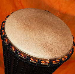 Bougarabou Trommel aus Mali Trommelfell
