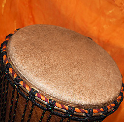 Bougarabou Trommel aus Mali Trommelfell