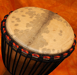 Djembe Trommel  Fell