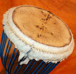 Djembe Trommel Fell