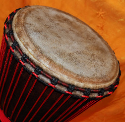 Djembe Trommel Fell