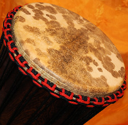 Djembe Trommel Fell